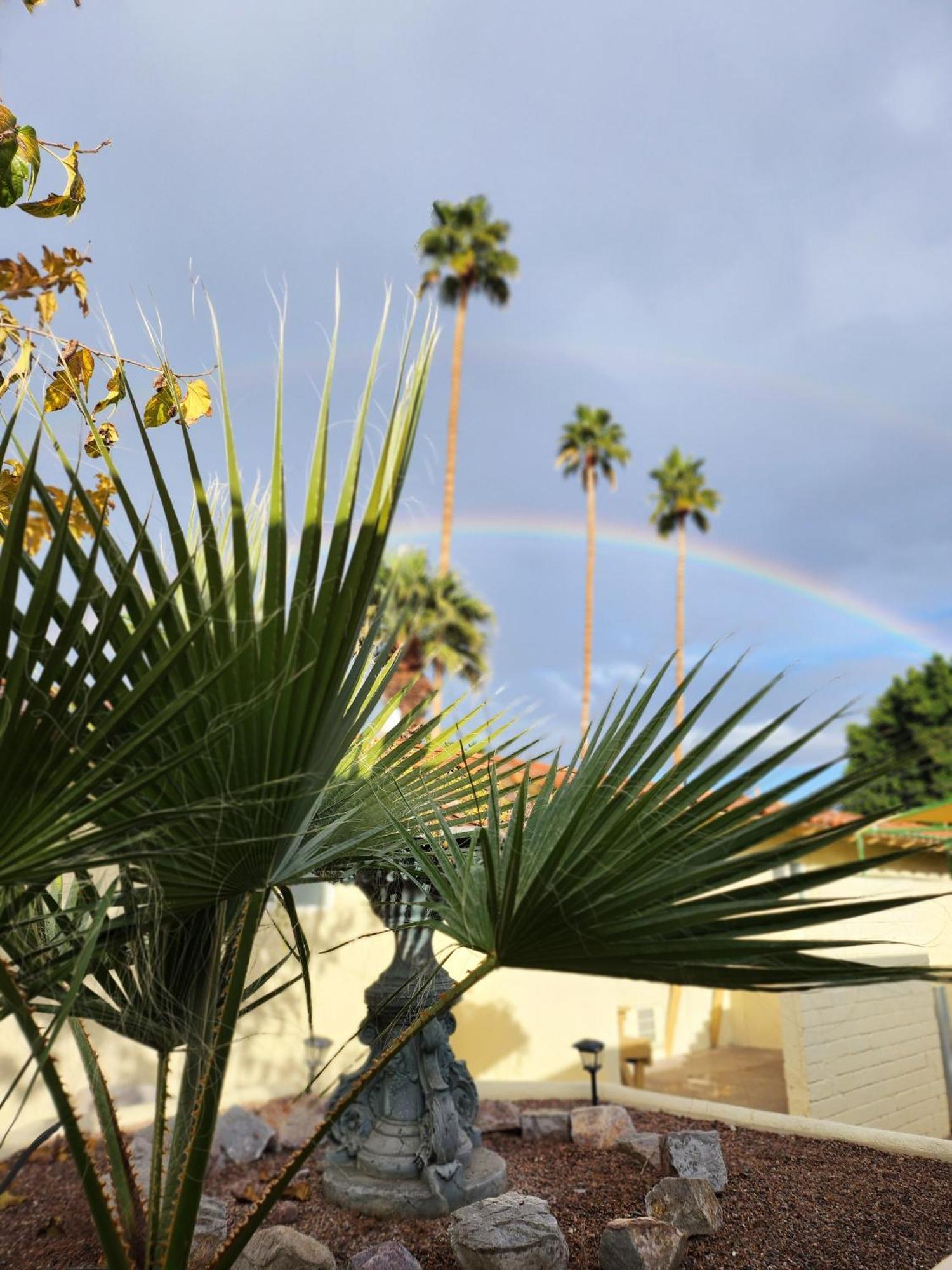 Exotic Dreams Resort Adults Only Palm Springs Exteriér fotografie